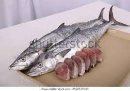 King Fish